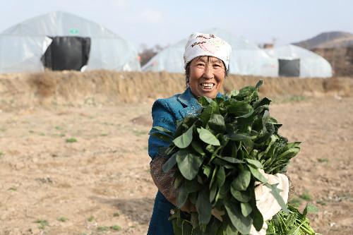 洪河村群眾的心里話：脫貧致富，計(jì)劃得先行