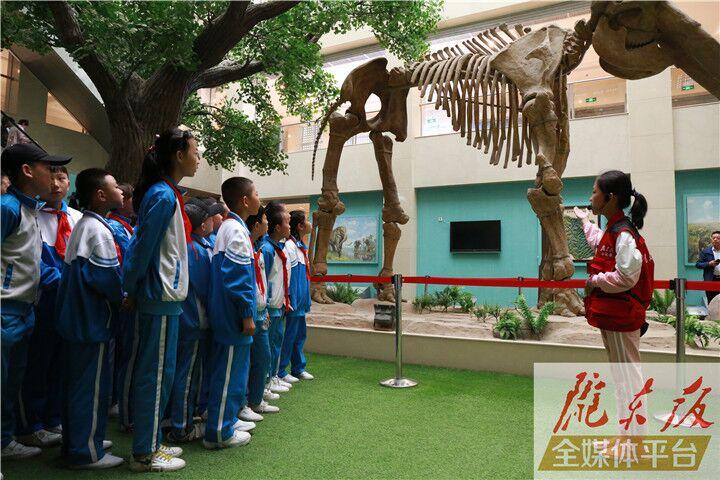 【第一眼】慶陽市博物館開展多項(xiàng)活動(dòng)慶?！?·18國際博物館日”