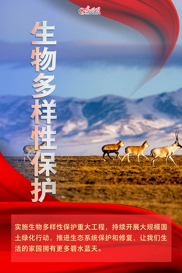 海報(bào)| 2021年政府工作報(bào)告，提到這些生態(tài)環(huán)保關(guān)鍵詞