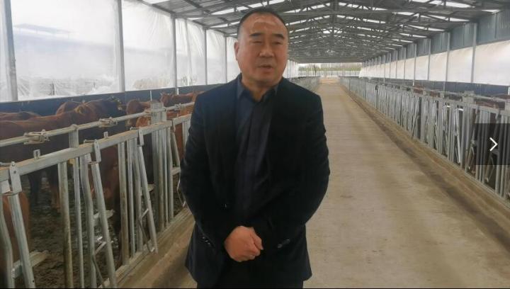 【脫貧攻堅(jiān)我來見證】項(xiàng)祖地：讓“早勝?！逼放谱叱龈拭C  走向全國