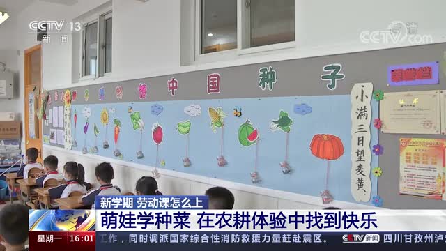 新學(xué)期，勞動(dòng)課怎么上？央視《新聞直播間》關(guān)注北師大慶陽附校農(nóng)耕體驗(yàn)課