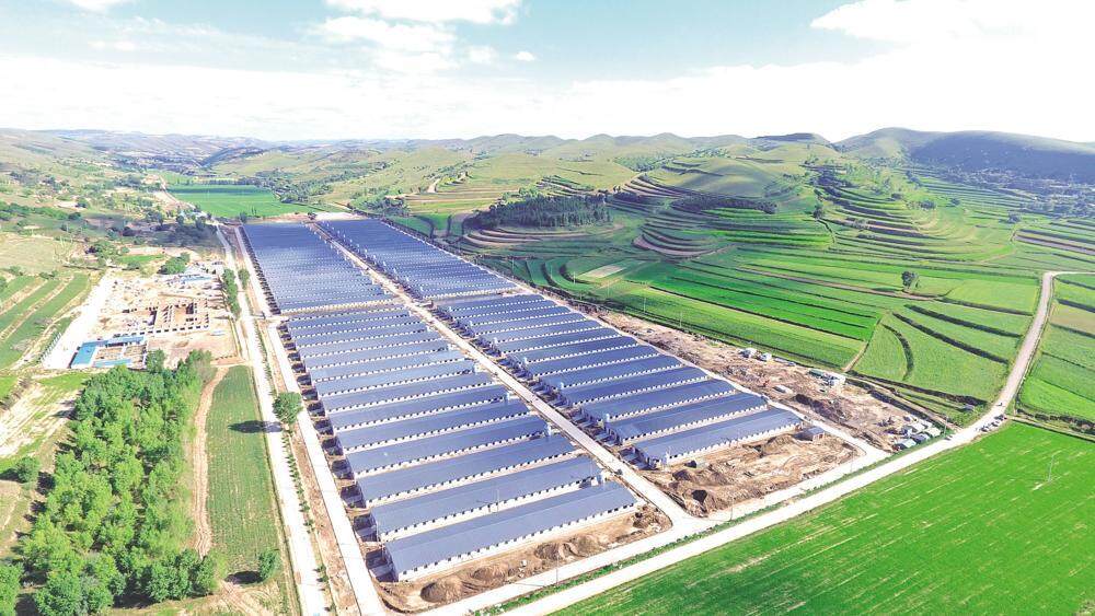 環(huán)縣雙廟20萬只肉羊育肥場俯瞰，