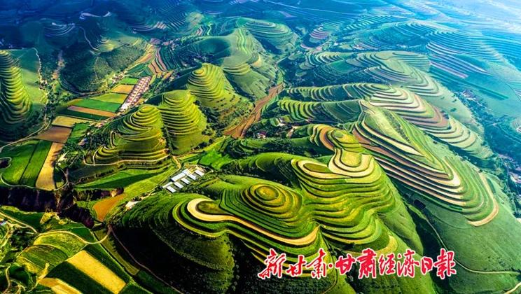 “羊”名立萬正當(dāng)時(shí)——環(huán)縣念羊經(jīng)、興羊業(yè)、發(fā)羊財(cái)促進(jìn)鄉(xiāng)村振興發(fā)展