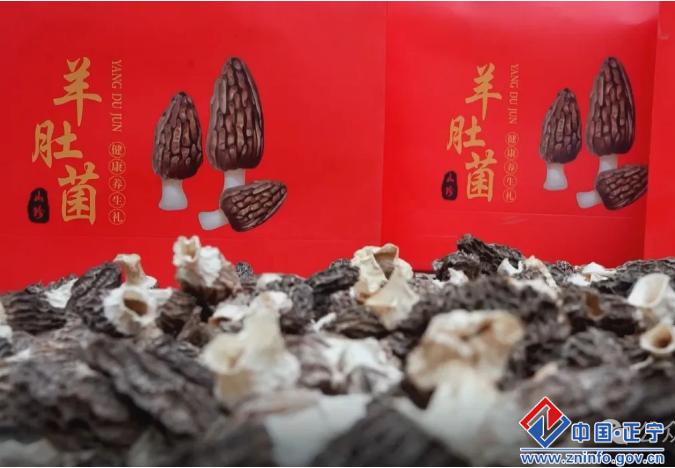 正寧縣山河鎮(zhèn):“三元雙向”開啟農業(yè)富循環(huán)