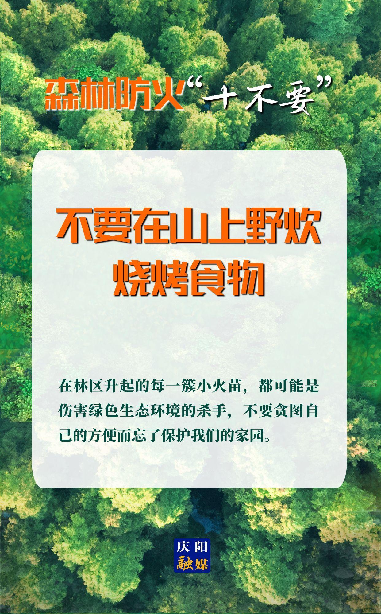 【微海報(bào)】森林防火“十不要”③丨不要在山上野炊、燒烤食物