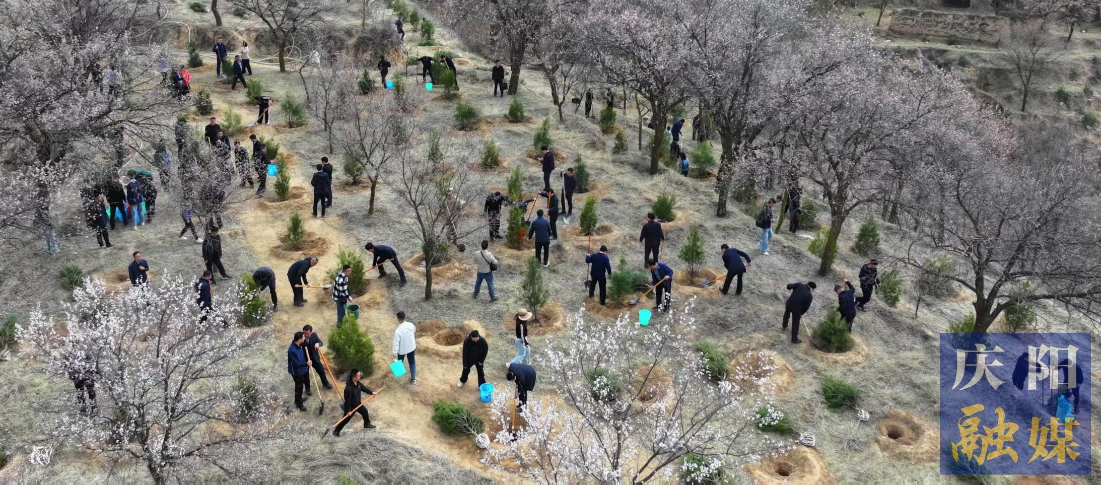 慶陽市市級機關(guān)義務植樹活動在西峰區(qū)舉行