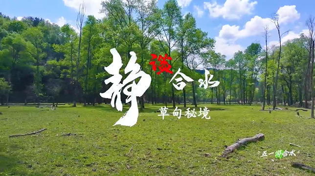 【五一游慶陽】靜謐合水︱合水縣太莪鄉(xiāng)草甸秘境等你來打卡！
