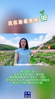 南梁鎮(zhèn)打造“我在南梁有塊田”體驗園，建成集種植、研學(xué)、觀光于一體的現(xiàn)代觀光農(nóng)業(yè)產(chǎn)業(yè)園，加快農(nóng)文旅融合，推動產(chǎn)業(yè)鏈不斷優(yōu)化升級