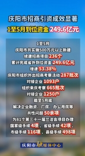 慶陽(yáng)市招商引資成效顯著，1至5月到位資金249.6億元